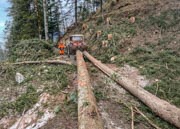 IMG_9526-Bearbeitet-Bearbeitet